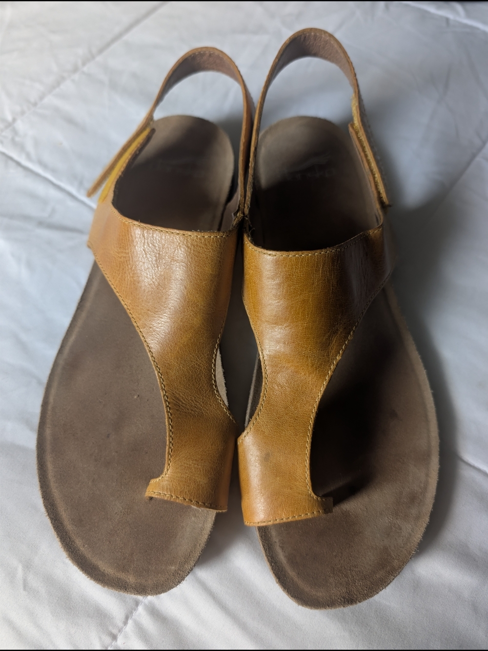 Dansko Honey Distressed Leather Toe-Loop Slingback Sandal - Picture 2 of 7